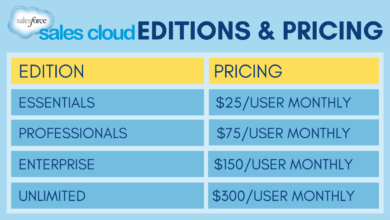 Salesforce CRM Cost: Understanding Pricing, Factors, And Editions